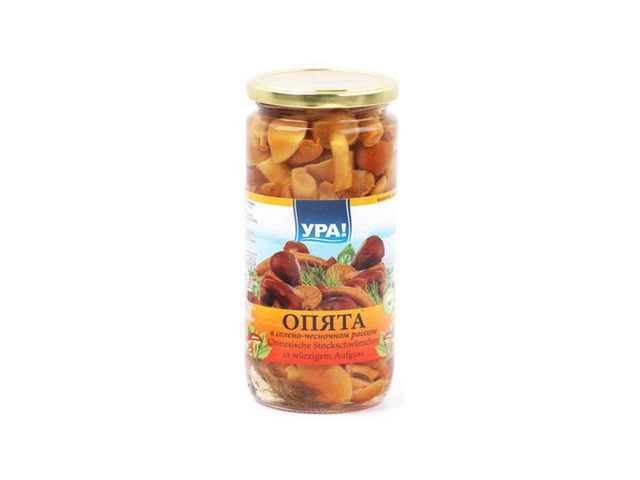 Champignons marinés Opiata 500 ml