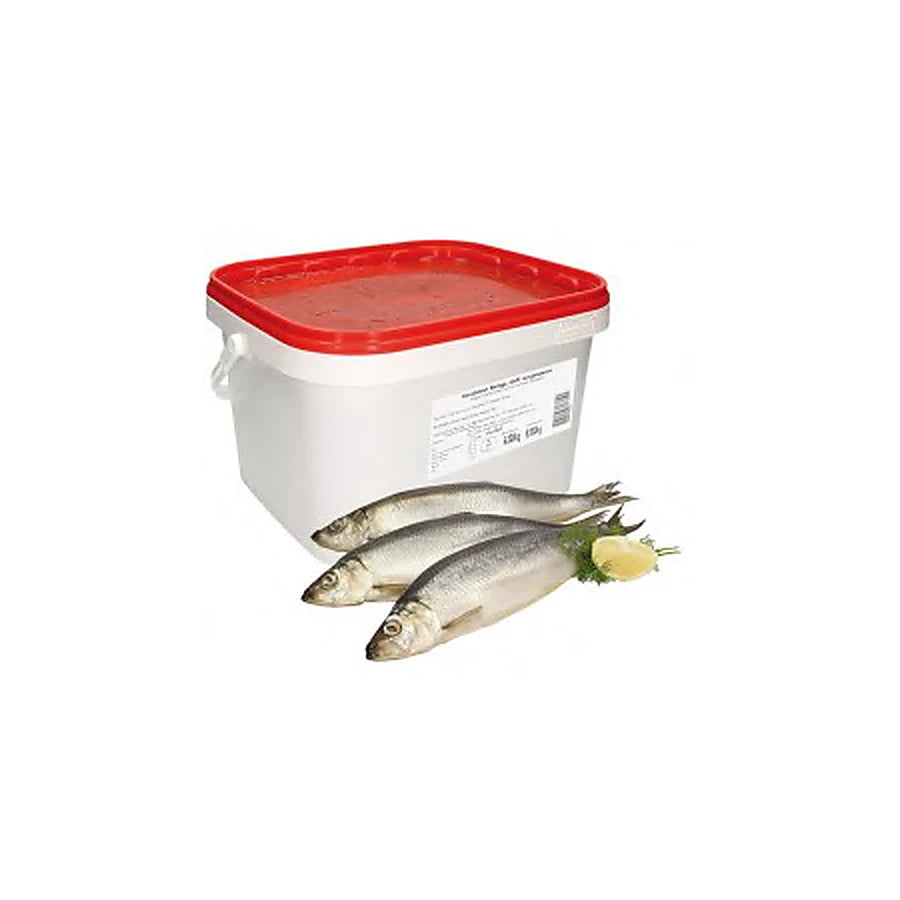 M.de Groot – Hareng (Clupea harengus) non éviscéré, salé – 1 kg